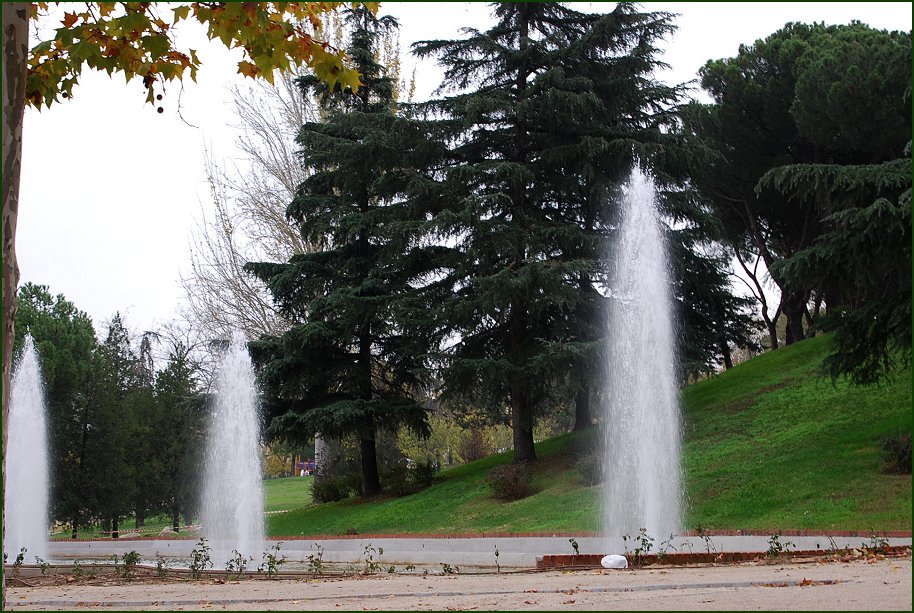 Foto de Madrid (Comunidad de Madrid), España