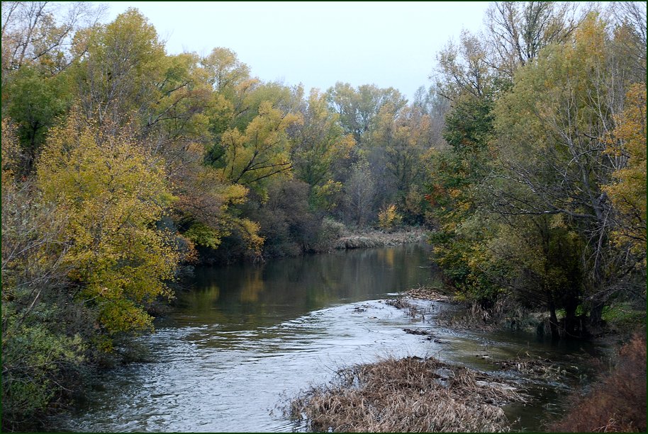 Foto de Madrid (Comunidad de Madrid), España