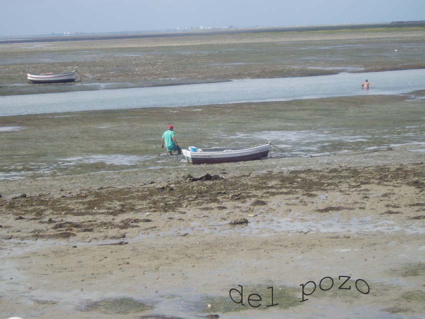 Foto de Puerto Real (Cádiz), España