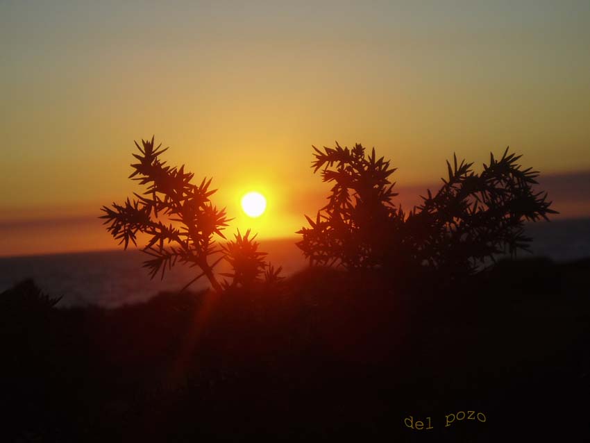 Foto de Chiclana de la Frontera (Cádiz), España