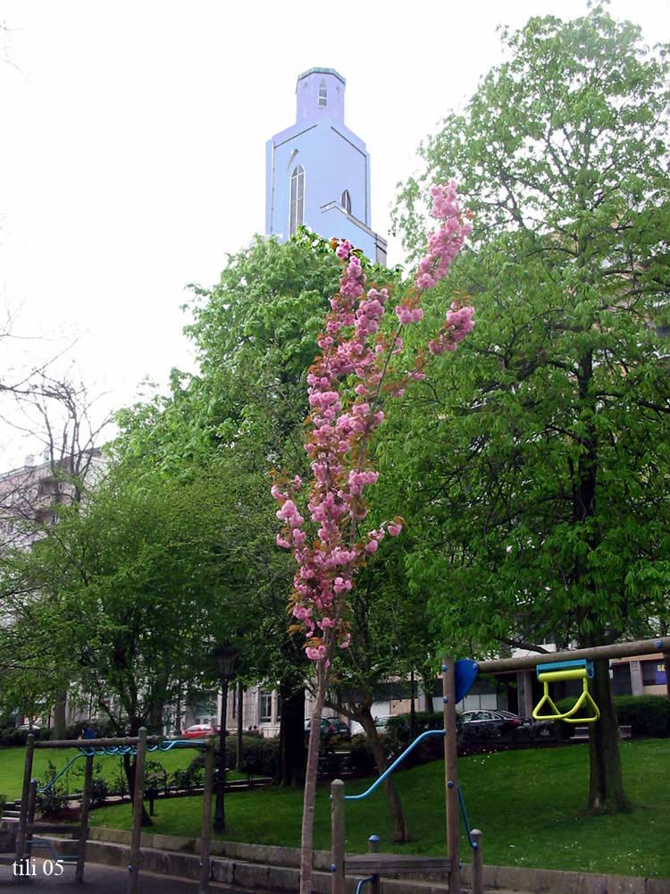 Foto de Oviedo (Asturias), España