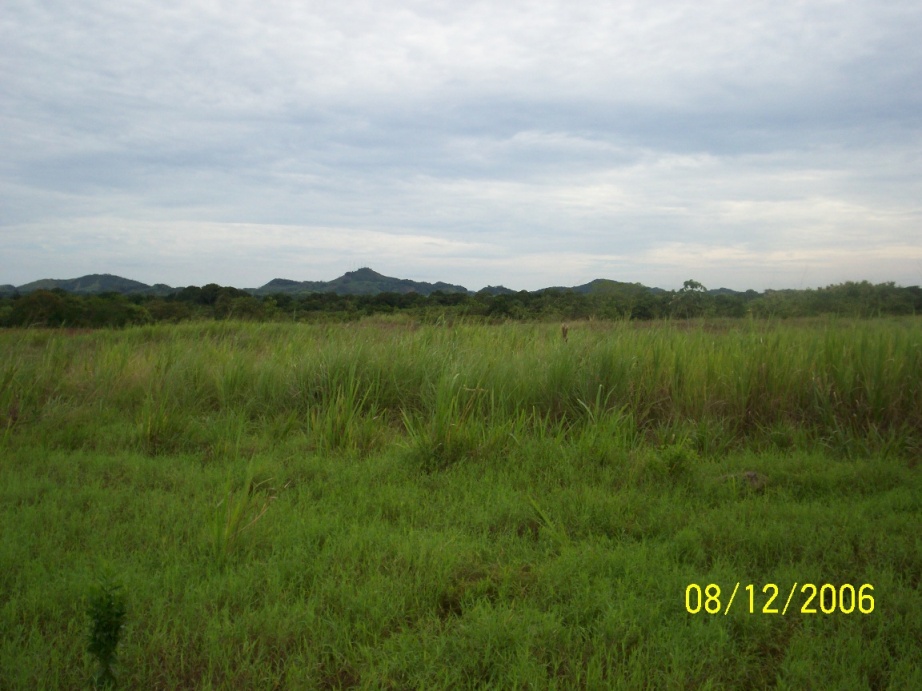 Foto de Cañazas Arriba, Panamá