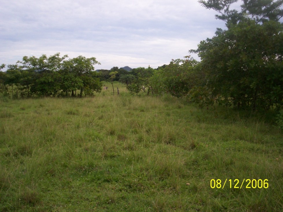 Foto de Cañazas Arriba, Panamá