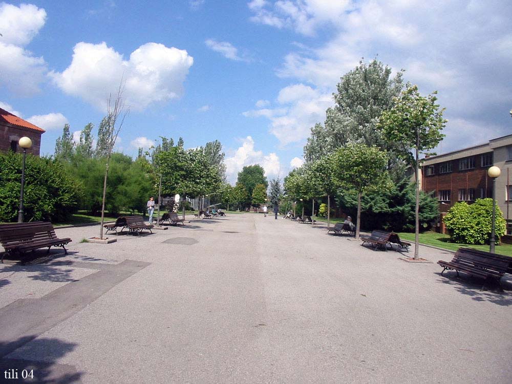 Foto de Oviedo (Asturias), España