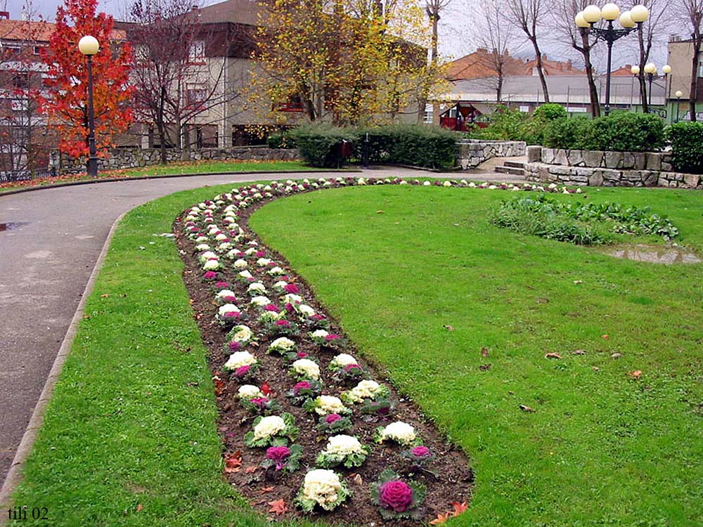 Foto de Oviedo (Asturias), España