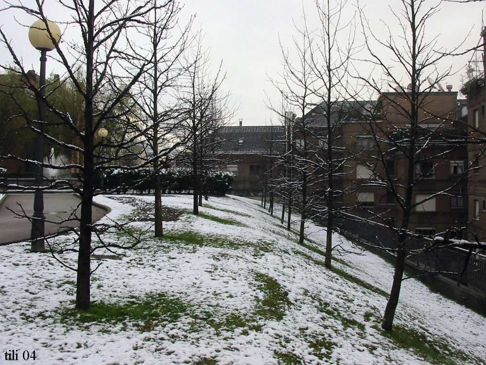 Foto de Oviedo (Asturias), España