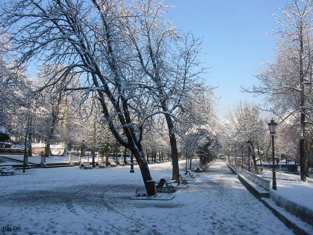 Foto de Oviedo (Asturias), España