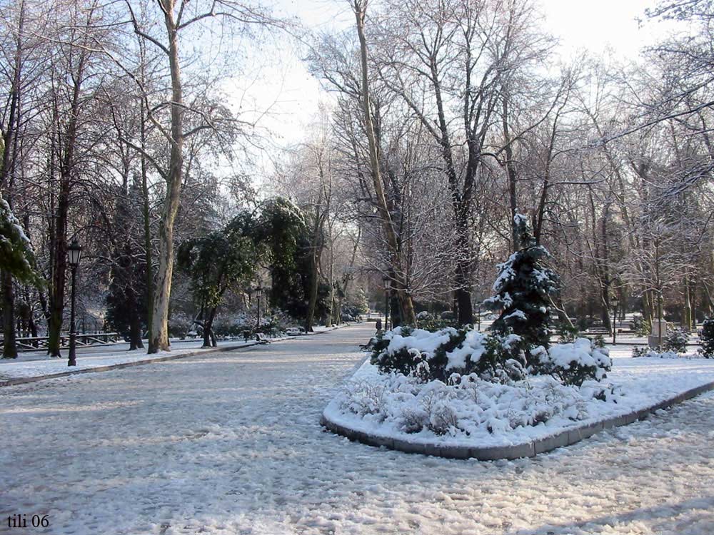 Foto de Oviedo (Asturias), España