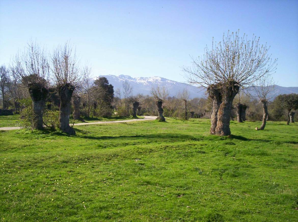 Foto de Revenga (Segovia), España