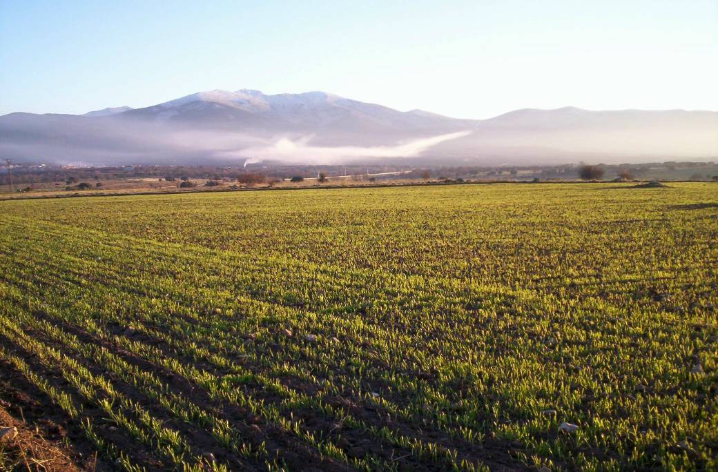 Foto de Revenga (Segovia), España