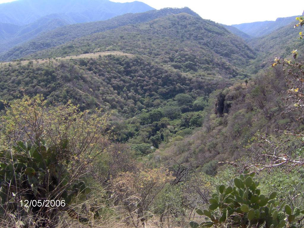 Foto de Hostotipaquillo, México