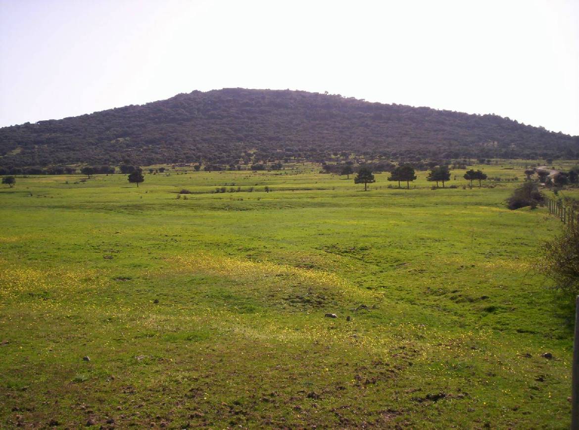Foto de Revenga (Segovia), España