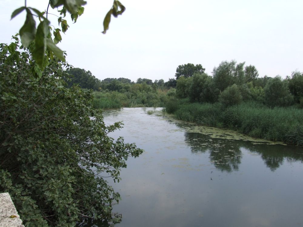 Foto de Vilanova de la Muga (Girona), España