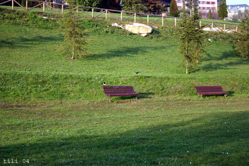 Foto de Oviedo (Asturias), España