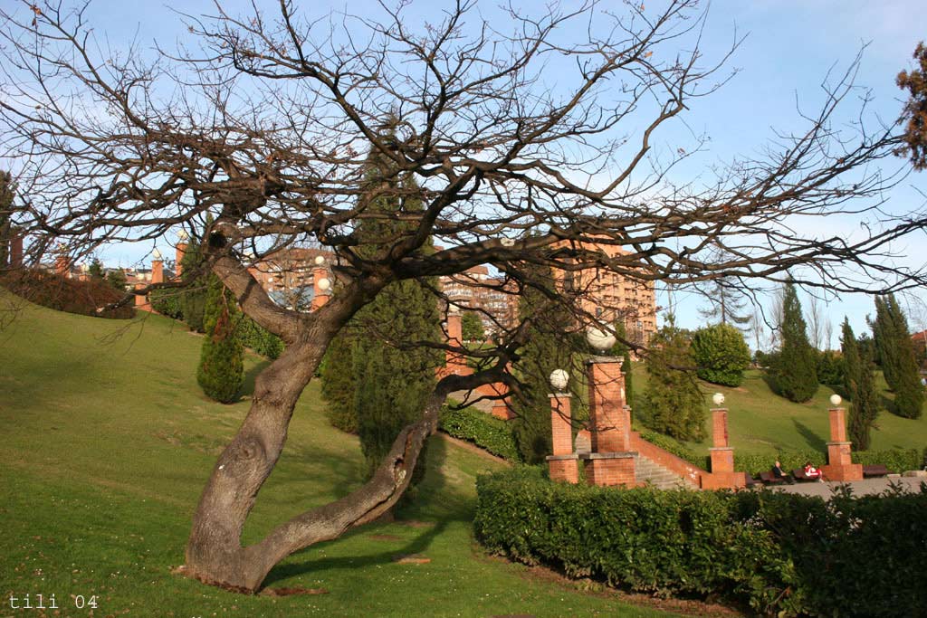 Foto de Oviedo (Asturias), España