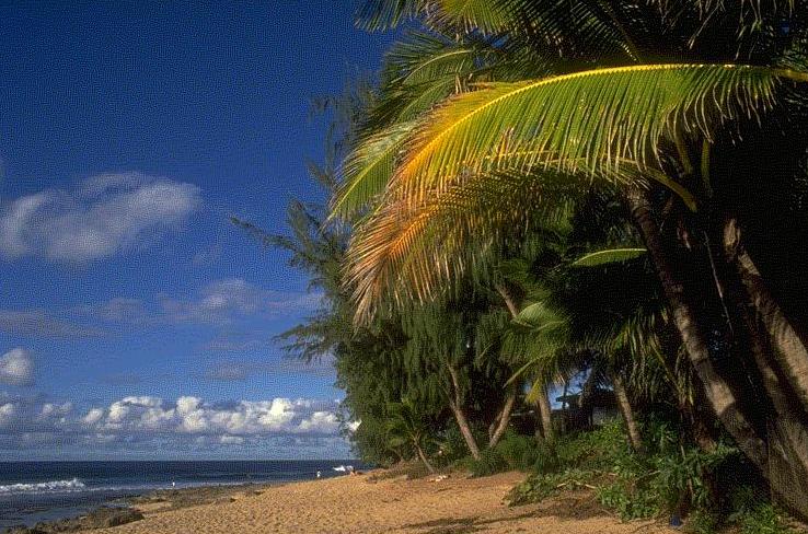 Foto de Tela (Atlantida), Honduras
