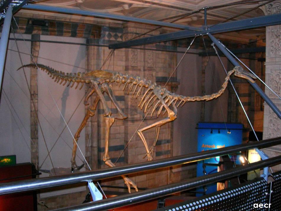 Foto de Londres, El Reino Unido