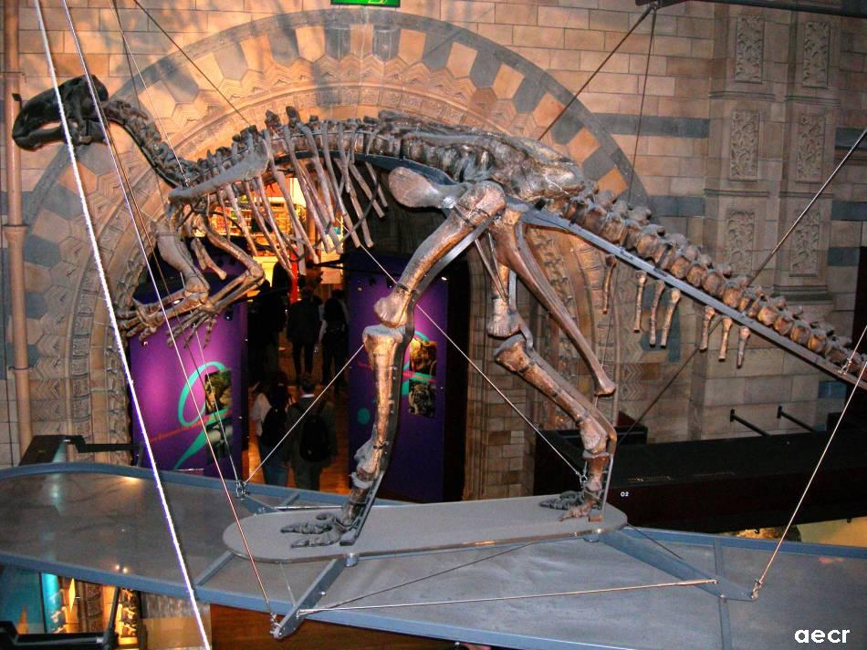 Foto de Londres, El Reino Unido