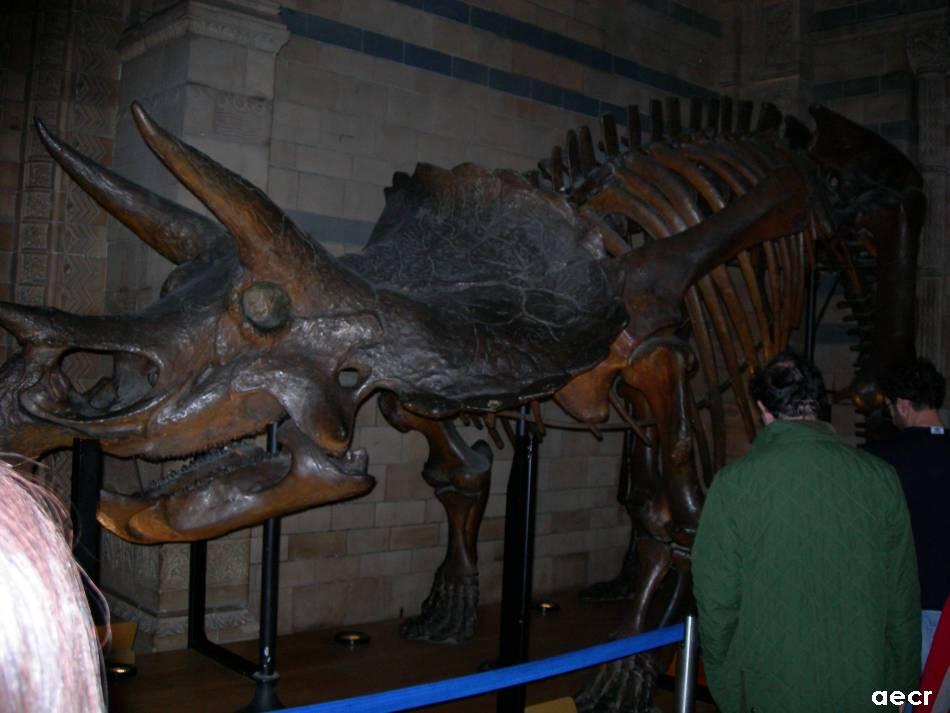 Foto de Londres, El Reino Unido