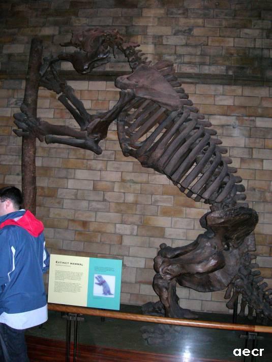 Foto de Londres, El Reino Unido