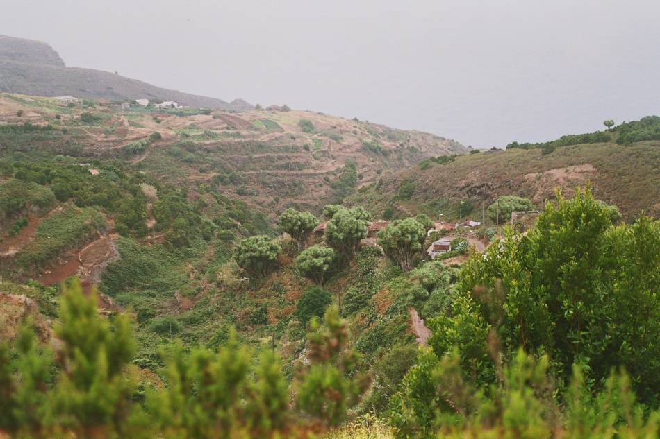 Foto de La Palma (Santa Cruz de Tenerife), España