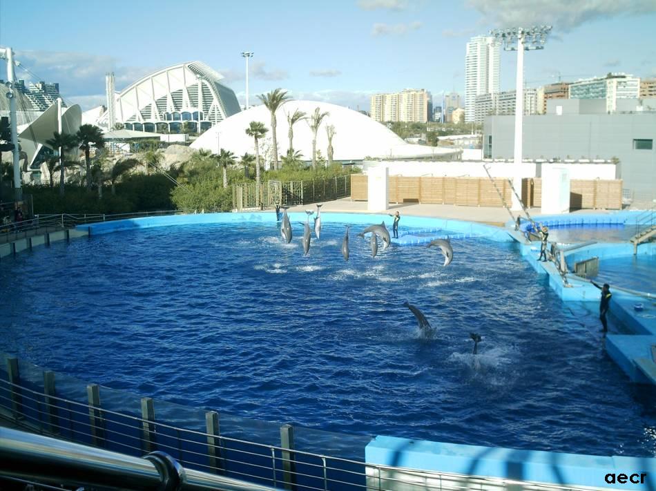 Foto de Valencia (València), España