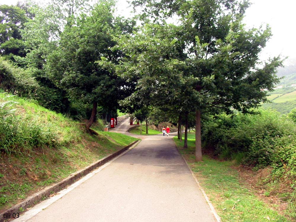 Foto de Oviedo (Asturias), España