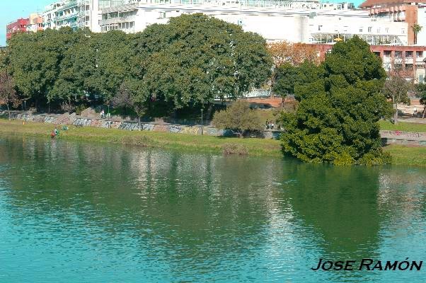 Foto de Sevilla (Andalucía), España