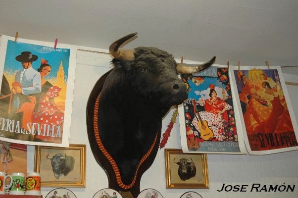 Foto de Sevilla (Andalucía), España