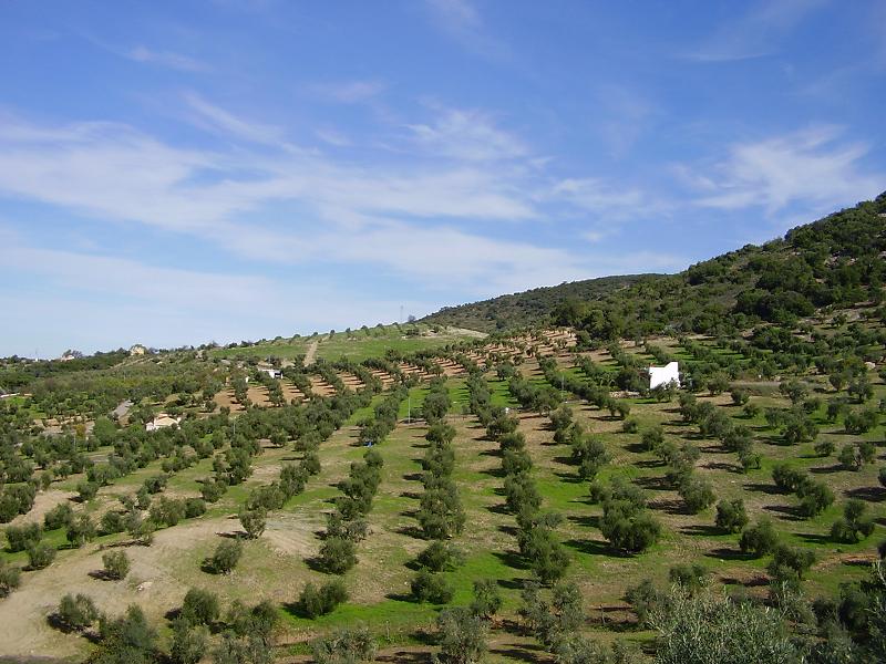 Foto de Puerto Serrano (Cádiz), España