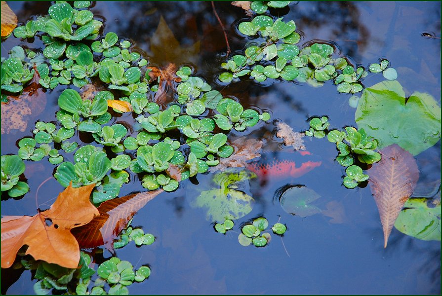 Foto de Madrid (Comunidad de Madrid), España