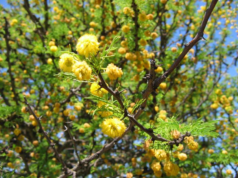 Foto de San Luis, Argentina
