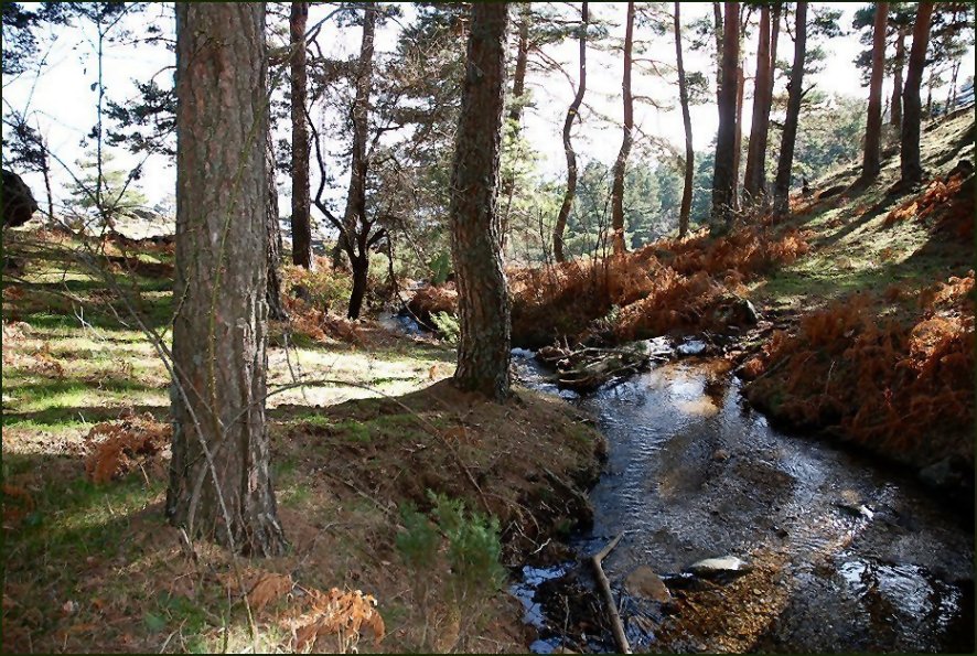 Foto de Lozoya (Madrid), España