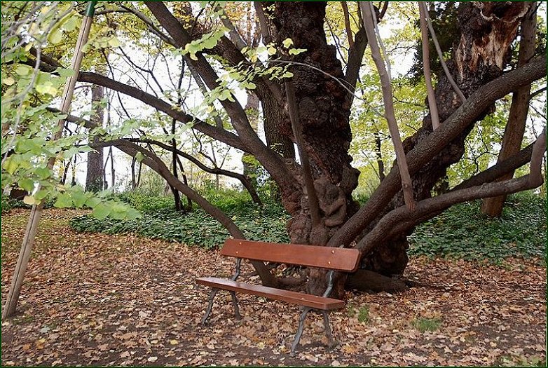 Foto de Madrid (Comunidad de Madrid), España