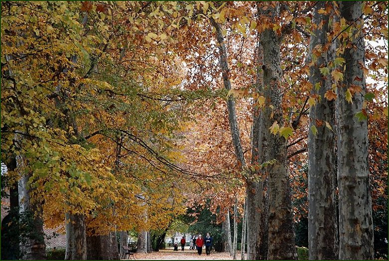 Foto de Madrid (Comunidad de Madrid), España