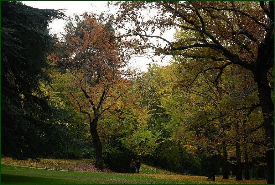 Foto de Madrid (Comunidad de Madrid), España