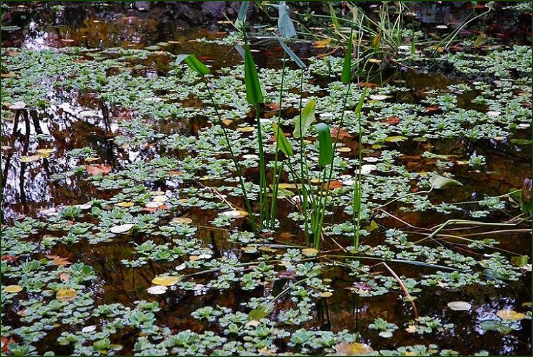 Foto de Madrid (Comunidad de Madrid), España