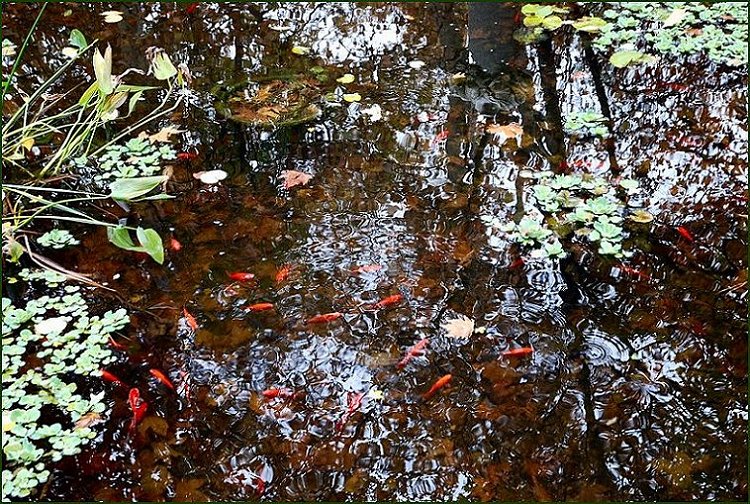 Foto de Madrid (Comunidad de Madrid), España