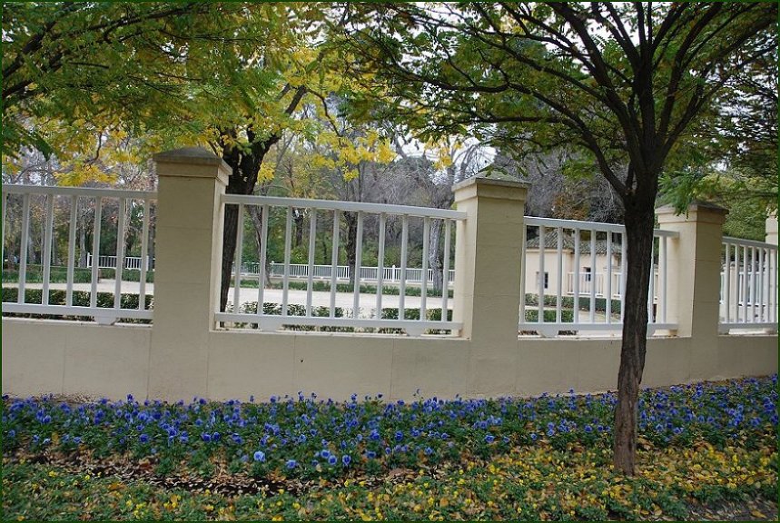 Foto de Madrid (Comunidad de Madrid), España