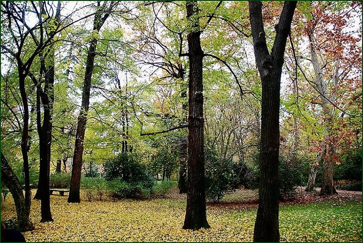 Foto de Madrid (Comunidad de Madrid), España