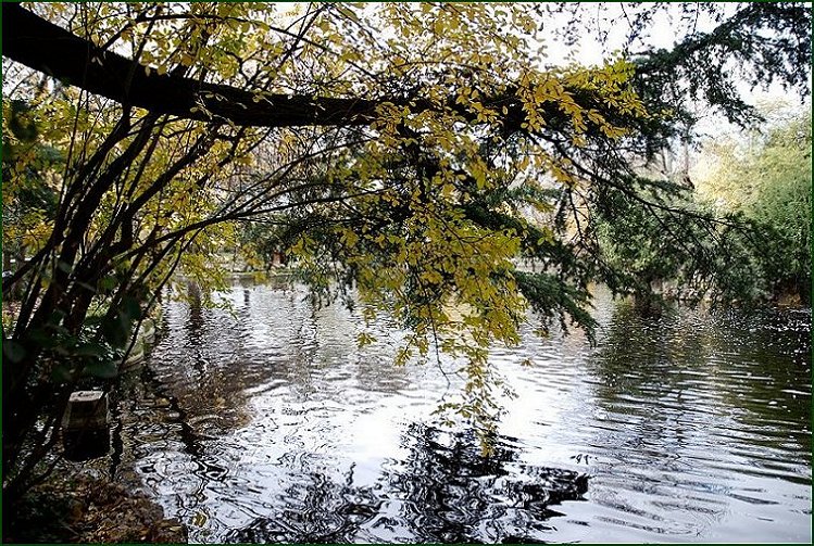Foto de Madrid (Comunidad de Madrid), España