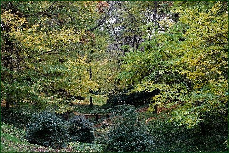 Foto de Madrid (Comunidad de Madrid), España