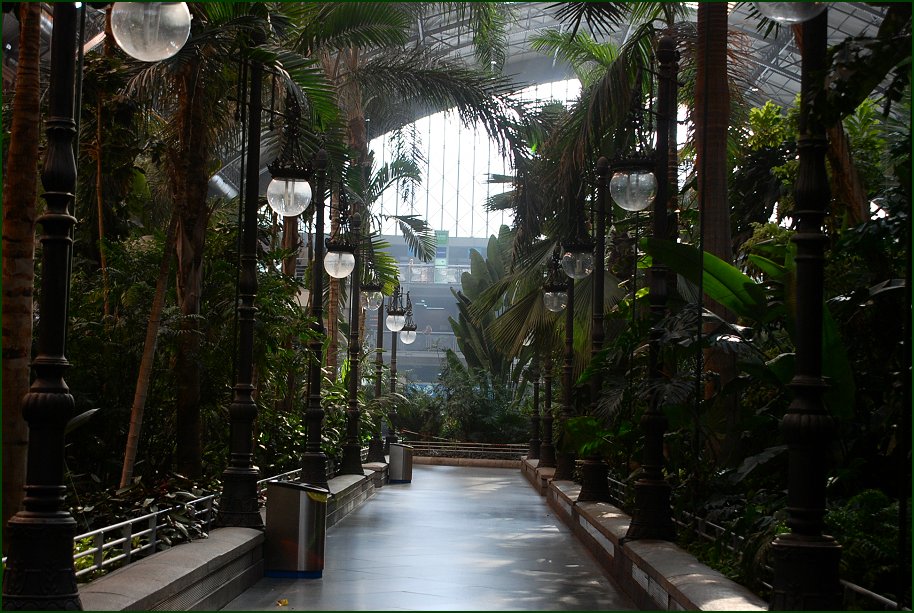 Foto de Madrid (Comunidad de Madrid), España