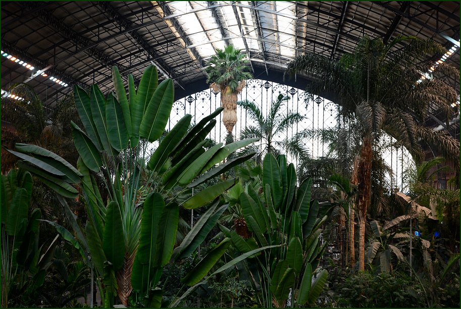 Foto de Madrid (Comunidad de Madrid), España