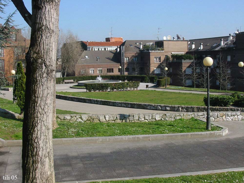 Foto de Oviedo (Asturias), España