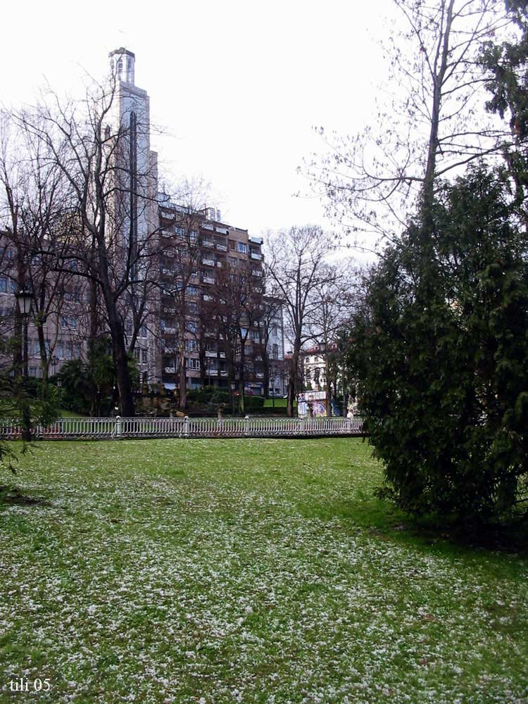 Foto de Oviedo (Asturias), España