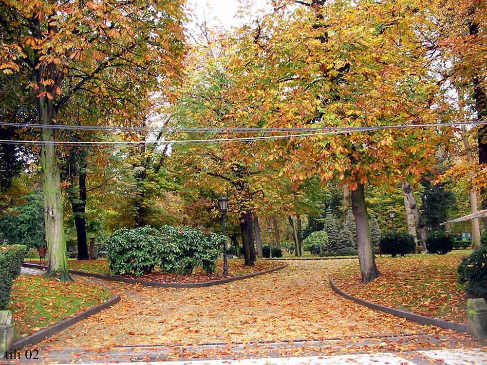 Foto de Oviedo (Asturias), España