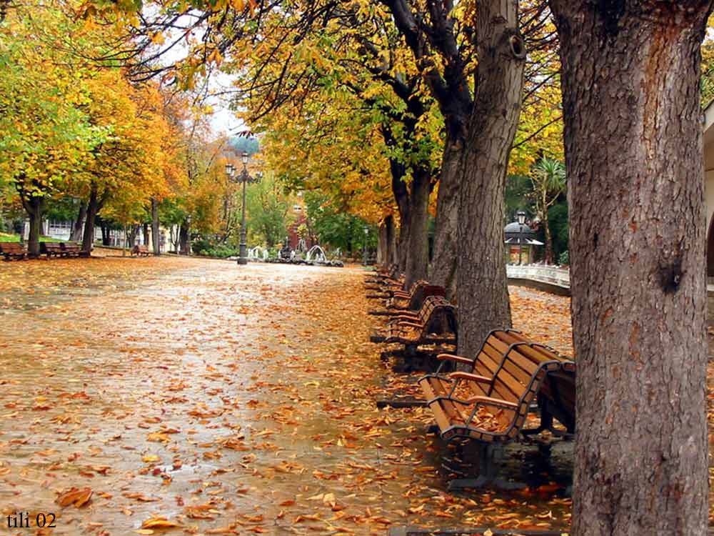 Foto de Oviedo (Asturias), España