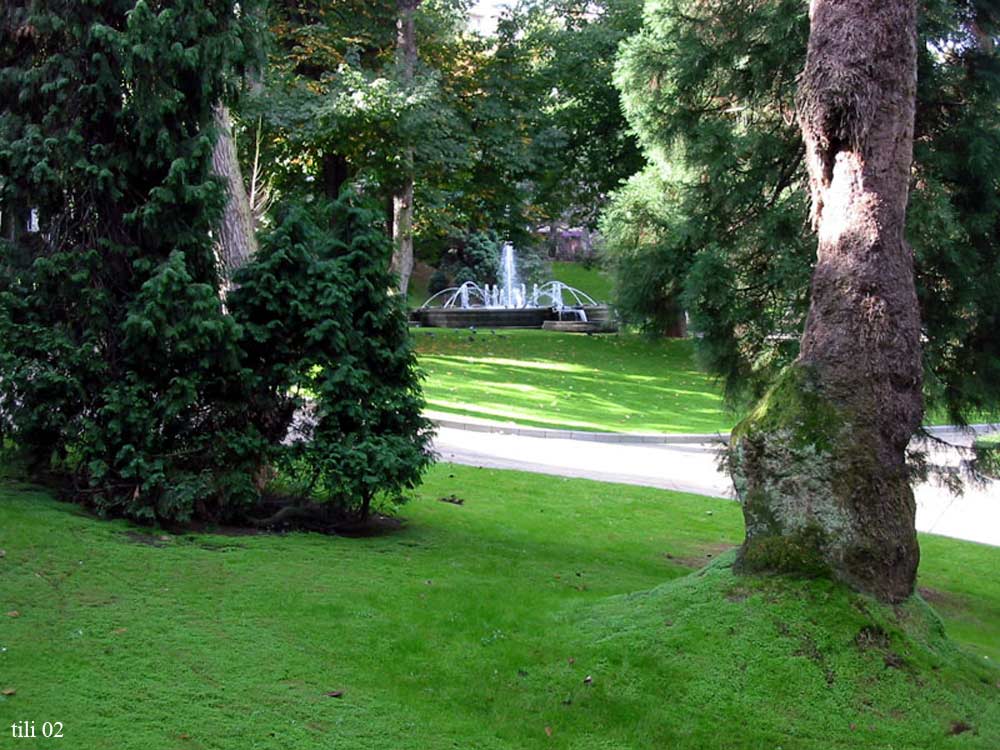 Foto de Oviedo (Asturias), España