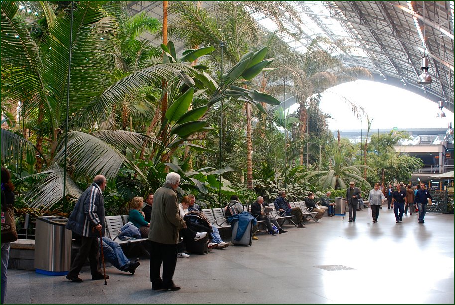 Foto de Madrid (Comunidad de Madrid), España